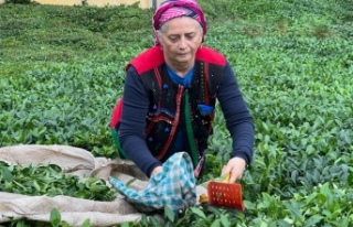 Sibel Suiçmez “Çay üreticisinin alın teri, özel...