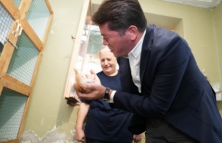 BAŞKAN KAYA’DAN SOKAK HAYVANLARINA DESTEK SÖZÜ