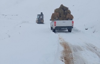 BÜYÜKŞEHİR BELEDİYESİ’NİN KAR MESAİSİ BAŞLADI