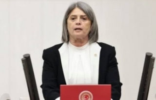 Av. Su içmez oylarımız %41’i buldu