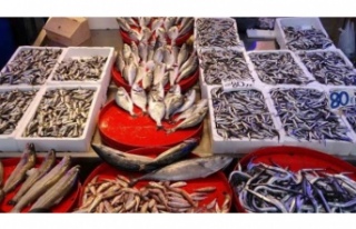 Balıkçılar hamsinin yolunu gözlüyorlar.