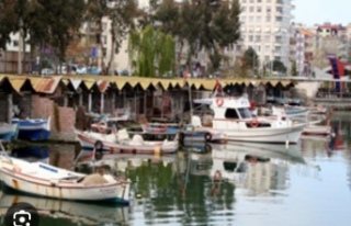 Barınakların yıkılmasına hukuk dur dedi.