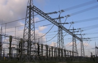 Elektrik Akımı Can Aldı
