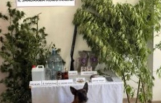 Jandarma uyuşturucuyu göz açtırmıyor