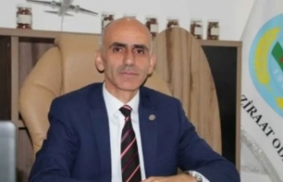 Karan ''Geçen seneye göre bu sene fındık...