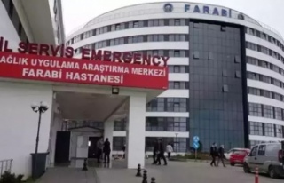 Kaza ile Yeğenini Yaraladı