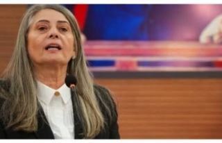 Mücadele Edeceklerini Açikladi