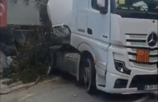 Sarp-Samsun Karayolunda Trafik Kazası