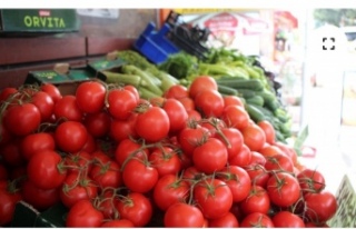 Sebze ve Meyve Fiyatlarında Hareketlilik