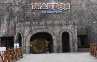 Trabzon'un Ortahisar ilçesi Yenicuma Mahallesi'nde...