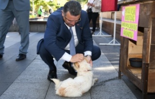 BAŞKAN GENÇ: “SOKAKTA YAŞAYAN HER CANLININ SAHİBİ...