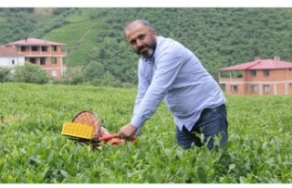 Çakıroğlu ''Çay sektörü sıkıntıda''