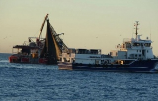 Hamsi ağlara girmiyor