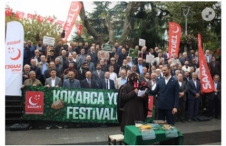 "iLK GÖRÜLDÜGÜNDE TEDBIR ALINSAYDI BU KADAR...