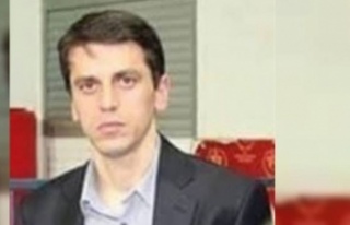 Kibar bu sene hamsi bol ve ucuz.