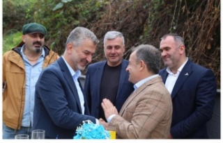 Siyasetin Güzelliği