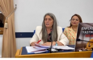 Suiçmez: “Hukukun üstünlüğü yoksa ekonomik...