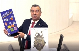 TBMM Milletvekili Yavuz Aydın, kahverengi kokarcaların...