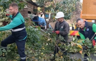 BÜYÜKŞEHİR'DEN SONBAHAR TEMİZLİĞİ