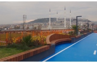 Ekolojik köprü hizmeti açılıyor.