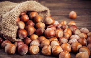 Fındık 275’e çakıldı