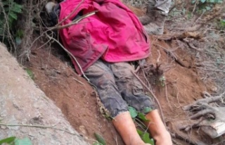 Kestiği ağacın altında kalan şahıs öldü.