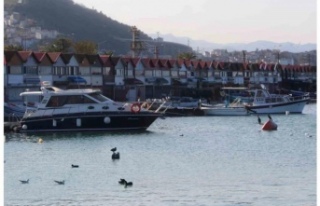 Prof.Dr.Eruz barınakların tamamı devletin malıdır.