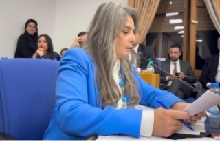 Sibel Suiçmez’den bakana: “Bu bütçeyle kadına...