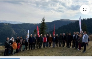 SP’den Fidan Dikimi