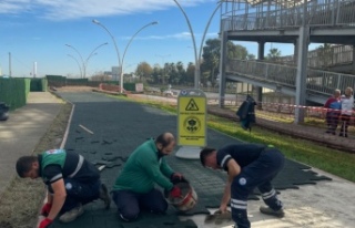 BÜYÜKŞEHİR SAHİLDEKİ YÜRÜYÜŞ YOLUNU YENİLİYOR