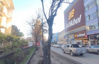 Trabzon Büyükşehir Belediyesi ekipleri tarafından...