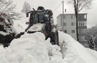 BÜYÜKŞEHİR'İN KIŞ MESAİSİ BAŞLADI