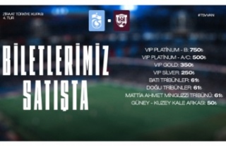 İmaj Altyapı Van Spor FK maçı biletleri satışa...
