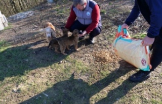 ORTAHİSAR BELEDİYESİ, SOĞUK KIŞ GÜNLERİNDE...
