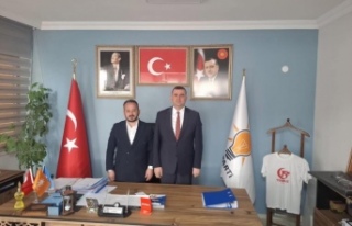 Başkan Sivrikaya Başkan zeytini ziyaret etti