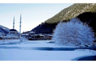 Kış Festivali Yapılacak