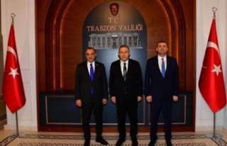 MHP’den vali Şahin’i ziyaret