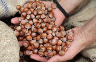 Serbest Piyasada Bekleyiş Hâkim