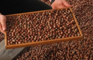 Bölgesel Fiyat Farklılıkları Dikkat Çekiyor