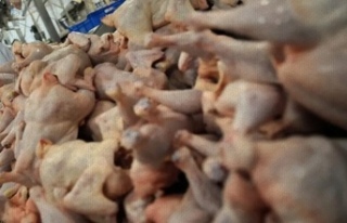 Bozuk tavuk etlerine el konuldu