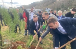 FİDANLAR MARATON ANISINA TOPRAKLA BULUŞTU