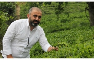 Çakıroğlu ''Çayda fiyat dengesi sağlanmalıdır''