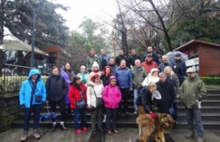 Doğa ve kent gezisi