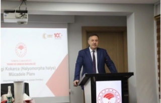 Kahverengi kokarca ile mücadelede yeni strateji