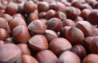 Serbest Piyasada Güncel Fiyatlar Nasıl Şekilleniyor?