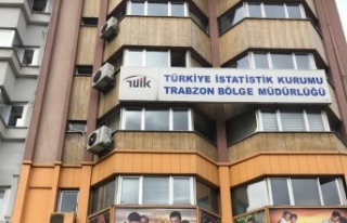 Türkiye Nüfusunun 85.000 % 8.5 işsiz