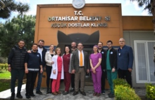ORTAHİSAR BELEDİYESİ’NDEN ‘DÜNYA SOKAK HAYVANLARI...