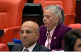 Av.Suiçmez İlayda’nın dosyasını TBMM’ye taşıdı