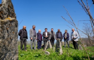 BAŞKAN KAYA, ORDU’DAKİ ‘TRABZONLU MUHACİRLER...