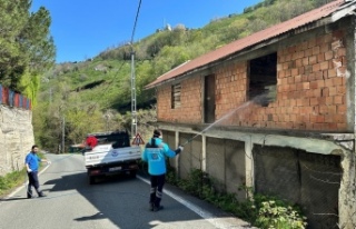 BÜYÜKŞEHİR BELEDİYESİNDEN KOKARCAYLA MÜCADELEYE...